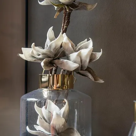 Beyond Colosseum Pensionat 4*