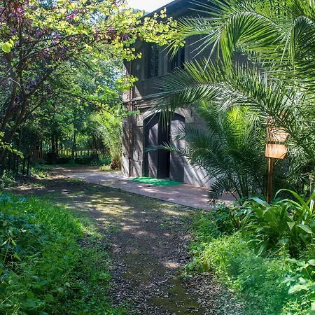 Guest house Beyond Colosseum