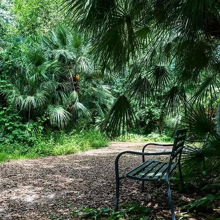 Beyond Colosseum Gasthuis 4*